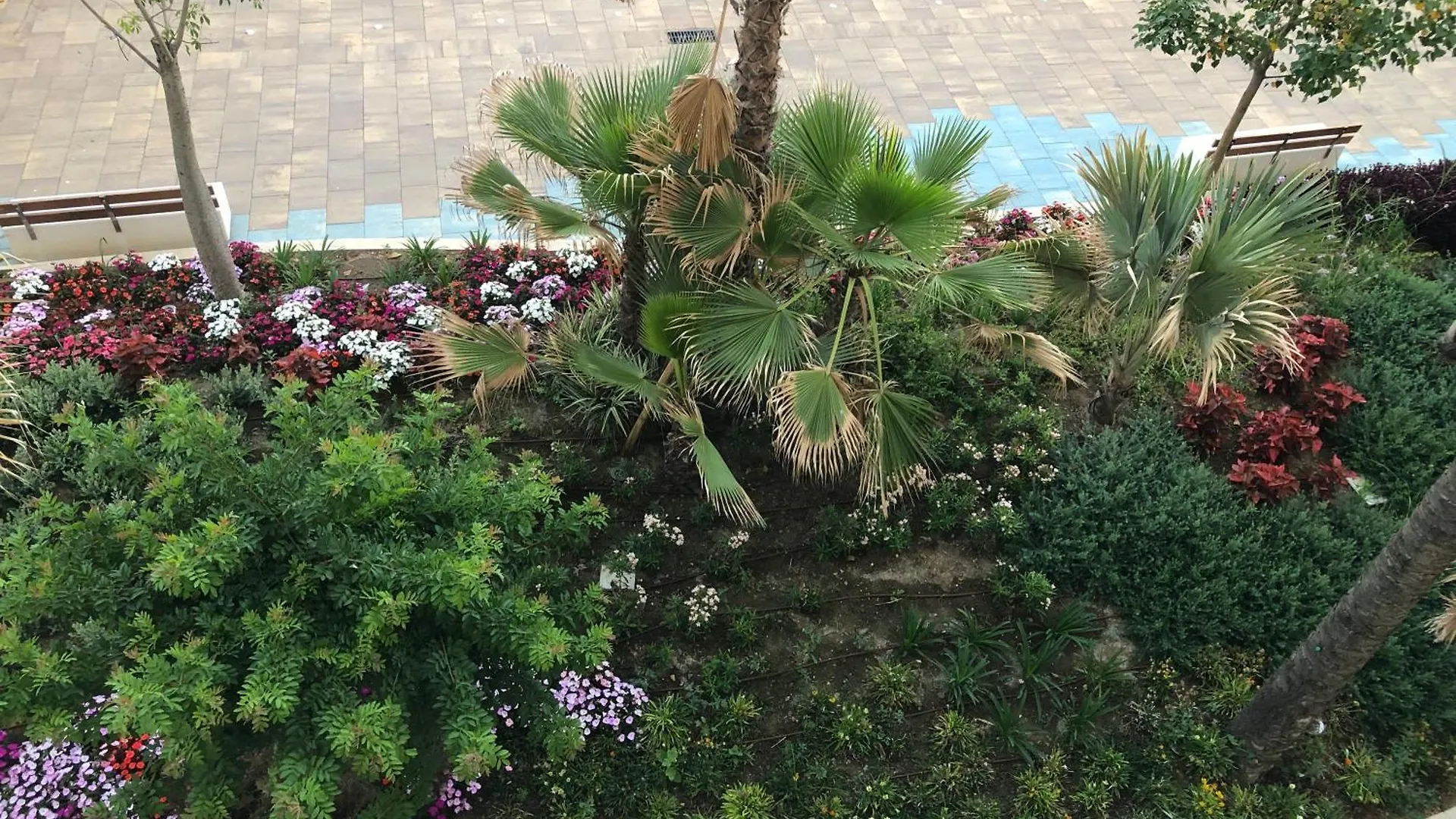 Apartamento Gorgeous Sea Views And Great Location! Estepona 0*,  España